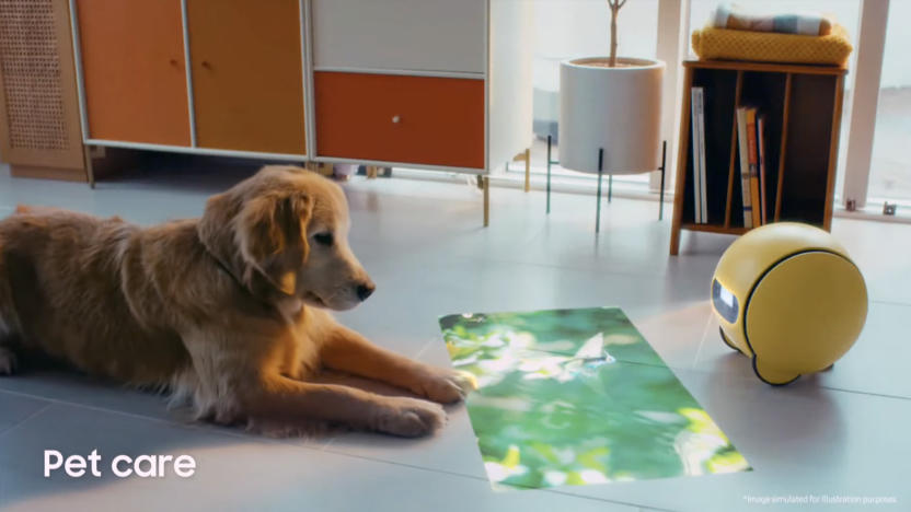 A screenshot from Samsung's video introduction of Ballie, with the yellow robot ball on the right projecting an image of green leaves onto the floor. Across from it sits a golden retriever looking intently at the leaves.