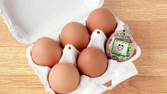 A carton of eggs with a Tamagotchi.