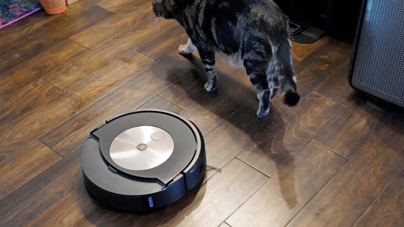 A robovac and a cat.